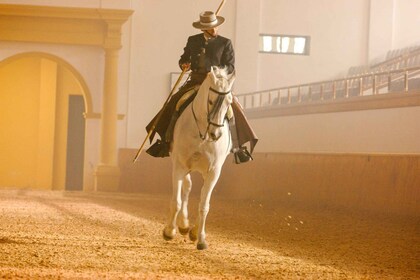 Jerez de la Frontera: Wie die andalusischen Pferde tanzen