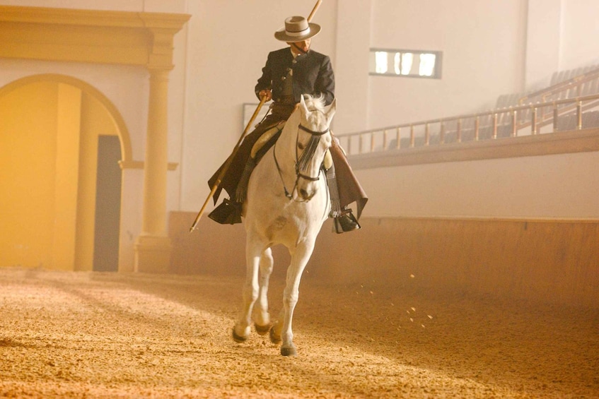 Jerez de la Frontera: How the Andalusian Horses Dance