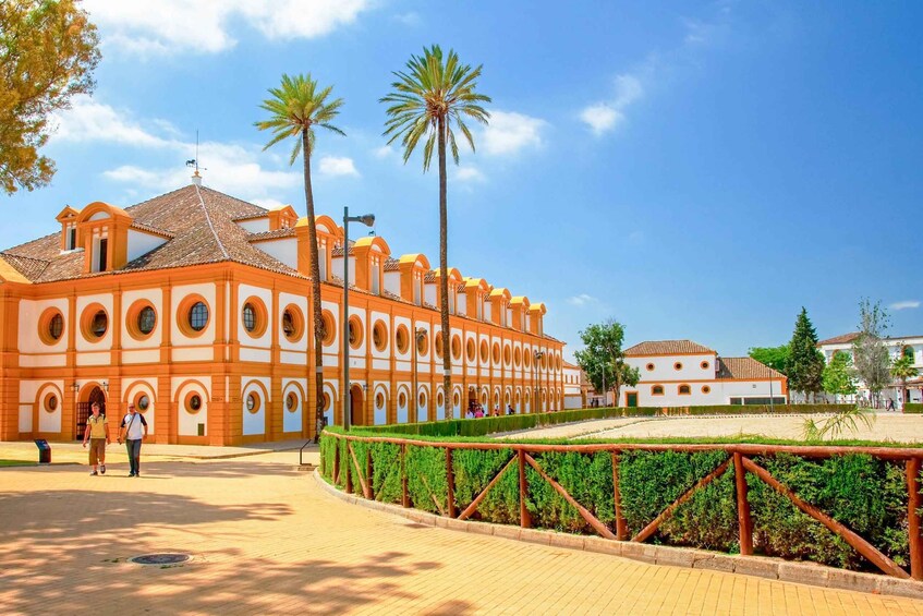 Picture 1 for Activity Jerez de la Frontera: How the Andalusian Horses Dance