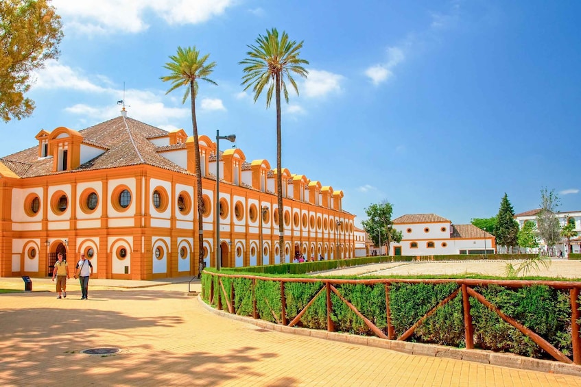 Picture 1 for Activity Jerez de la Frontera: How the Andalusian Horses Dance