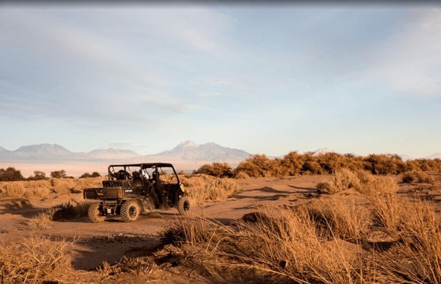 Picture 4 for Activity San Pedro de Atacama: Guided Buggy Tour Through the Desert