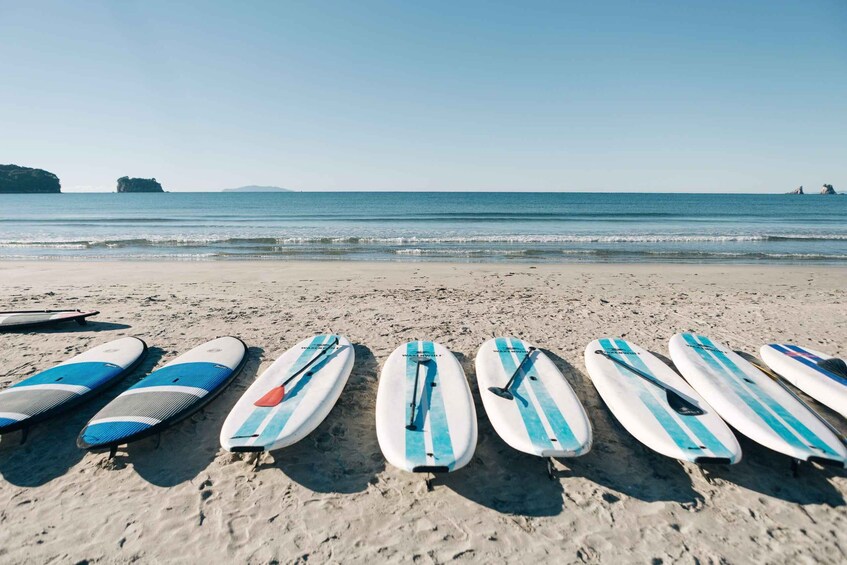 Picture 5 for Activity Whangamata: Donut Island Guided Kayaking Experience