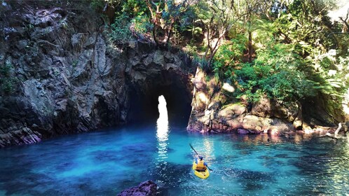 Whangamata: Donut Island Guided Kayaking Experience