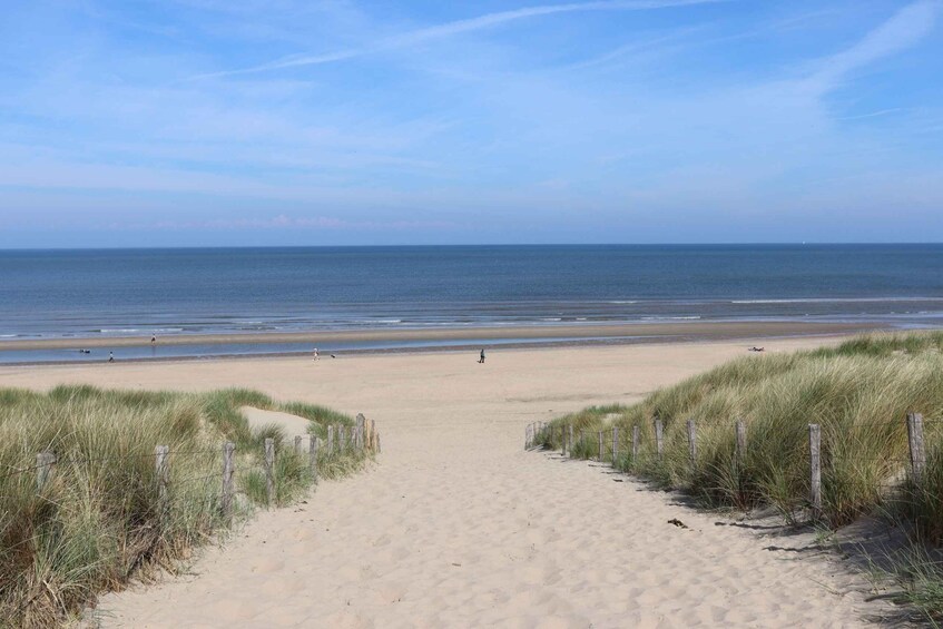 Picture 5 for Activity Noordwijk: Beach and Dunes Bike Tour