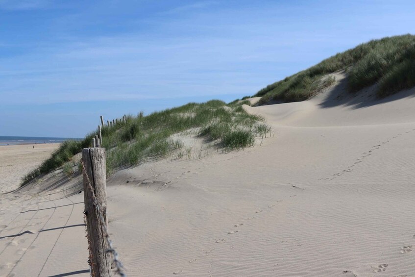 Picture 8 for Activity Noordwijk: Beach and Dunes Bike Tour