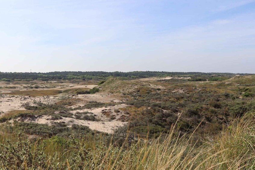 Picture 3 for Activity Noordwijk: Beach and Dunes Bike Tour