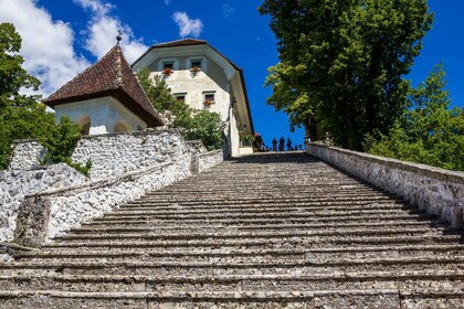 Ljubljana : Expérience du lac de Bled en petit groupe, demi-journée excursi...