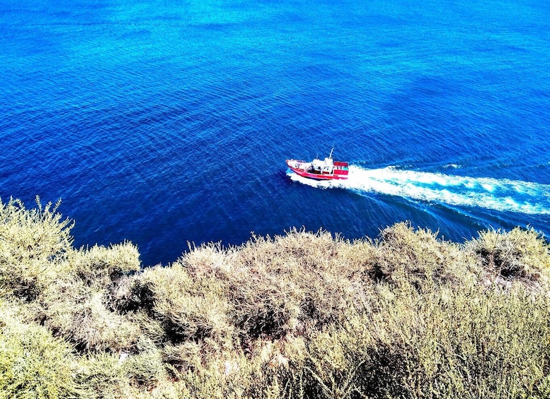 Picture 4 for Activity Sagres & Cape St. Vincent Half-Day Tour from Lagos