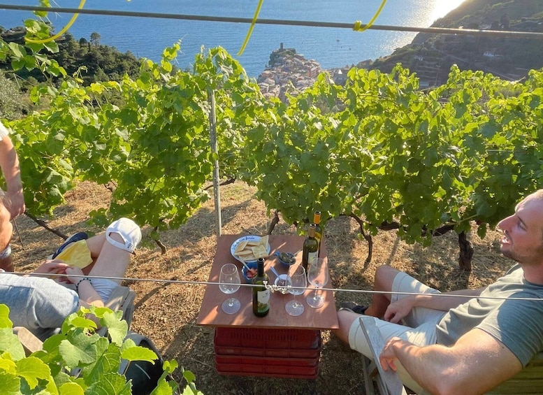 Picture 5 for Activity Vernazza: Panoramic Vineyard Trekking Tour w/ Wine Tasting