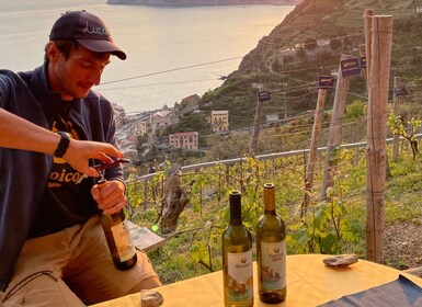 Vernazza : Panoramic Vineyard Trekking Tour avec dégustation de vin