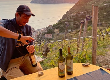 Vernazza: Panoramische wijngaard wandeling met wijnproeverij