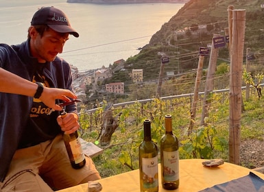 Vernazza : Randonnée panoramique dans les vignobles avec dégustation de vin