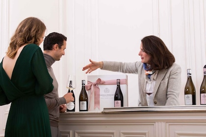 Beaune: degustación de vinos en el Château de Pommard