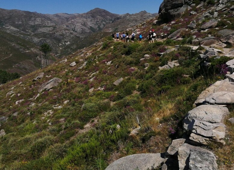 Picture 20 for Activity From Porto: Hiking and Swimming in Gerês National Park