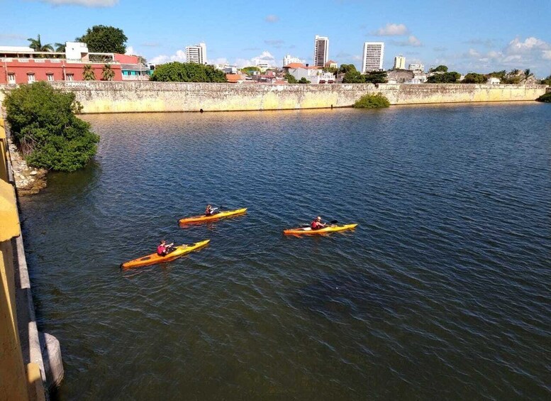 Picture 6 for Activity Cartagena: Walled City Kayak Tour