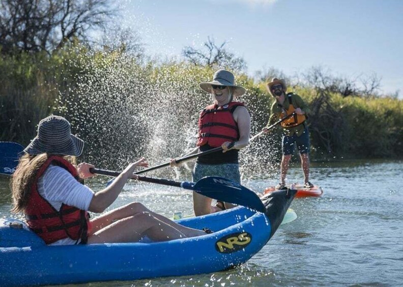 Picture 3 for Activity Phoenix & Scottsdale: Saguaro Lake Kayaking Tour