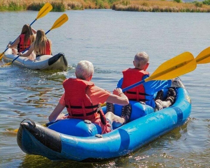 Picture 2 for Activity Phoenix & Scottsdale: Saguaro Lake Kayaking Tour