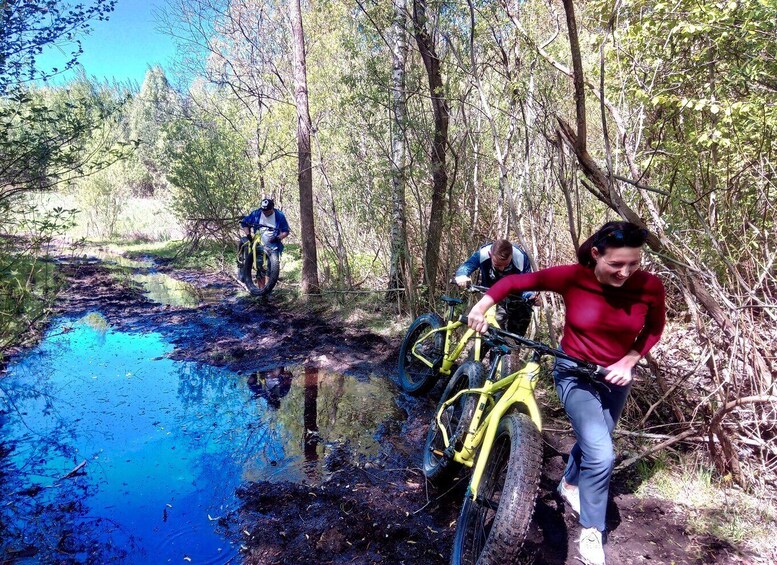 Visaginas: Swamps and Bogs Fat-Bike Tour