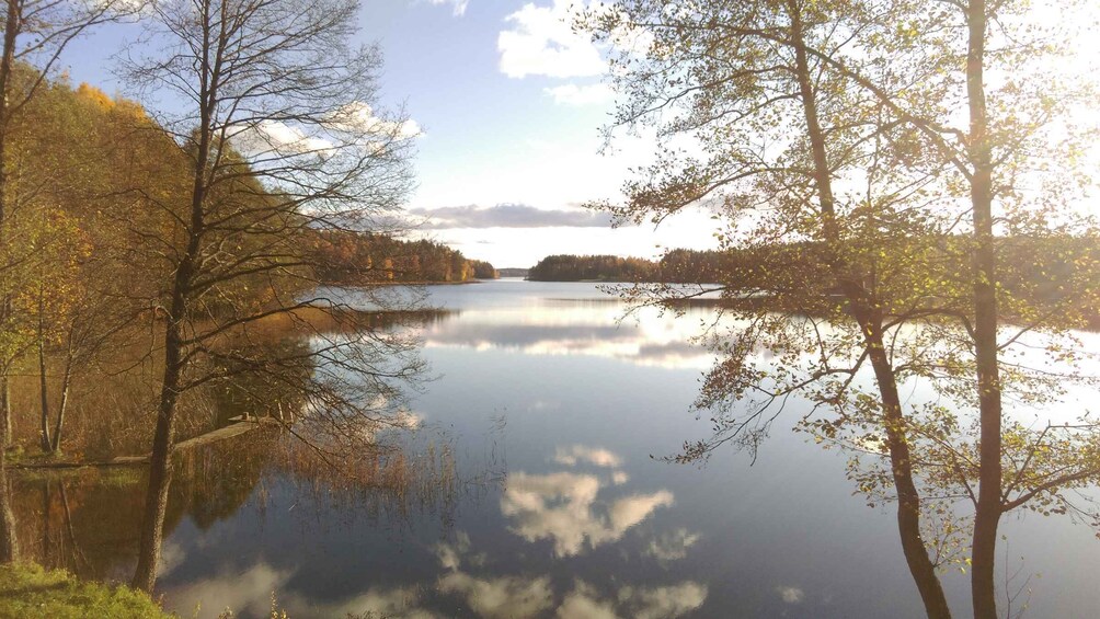 Picture 5 for Activity Visaginas: Swamps and Bogs Fat-Bike Tour