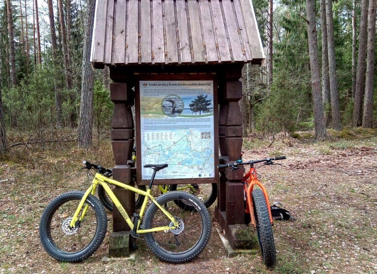 Picture 2 for Activity Visaginas: Swamps and Bogs Fat-Bike Tour