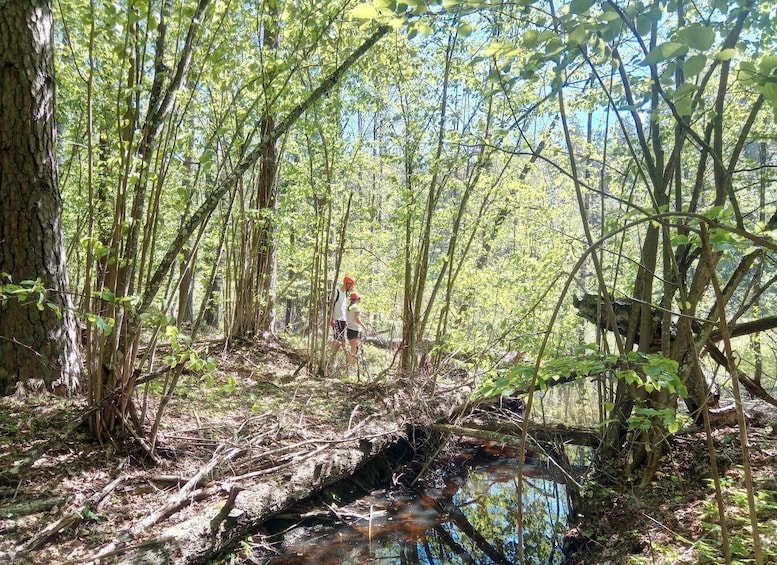 Picture 3 for Activity Visaginas: Swamps and Bogs Fat-Bike Tour