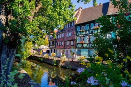 Desde Estrasburgo: excursión de un día a lo mejor de la historia de Alsacia