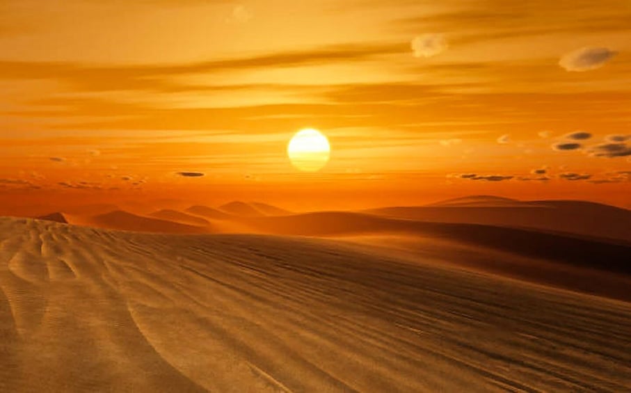 Picture 19 for Activity Dubai: Safari, Quad Bike, Camel Ride, and Buffet Dinner