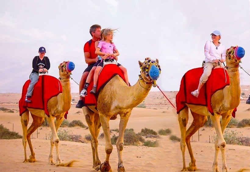 Picture 3 for Activity Dubai: Safari, Quad Bike, Camel Ride, and Buffet Dinner