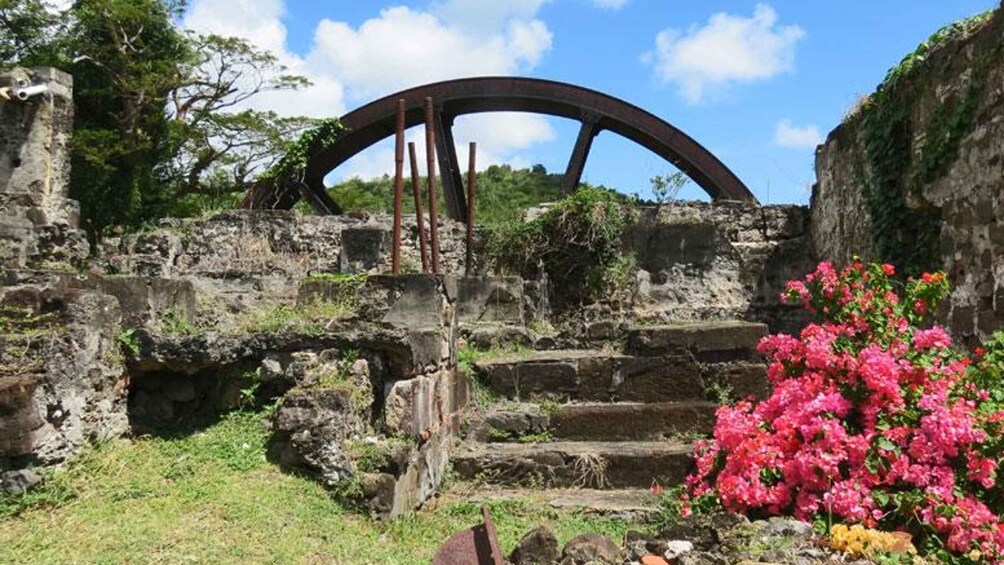 Picture 6 for Activity Grenada: Full-Day Tour with Chocolate and Rum Sampling