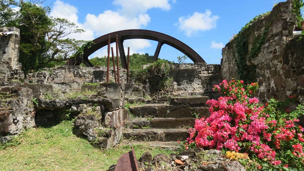 Picture 6 for Activity Grenada: Full-Day Tour with Chocolate and Rum Sampling