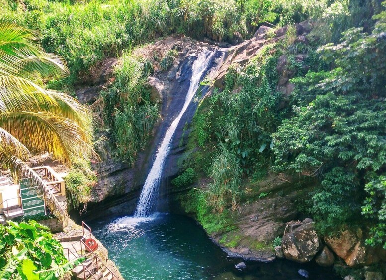 Picture 2 for Activity Grenada: Full-Day Tour with Chocolate and Rum Sampling