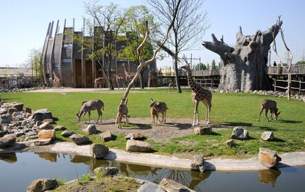 Rotterdam: Rotterdam Zoo Blijdorp Indgangsbillet