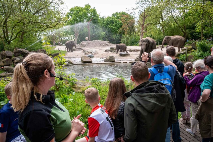 Picture 4 for Activity Rotterdam: Rotterdam Zoo Blijdorp Entry Ticket