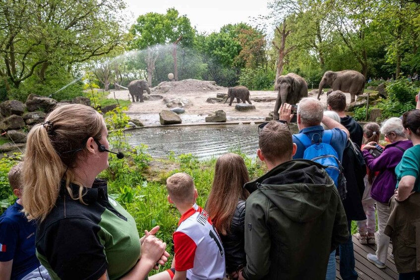 Picture 1 for Activity Rotterdam: Rotterdam Zoo Blijdorp Entry Ticket