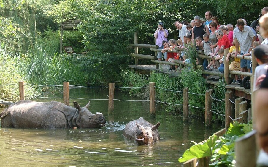 Picture 5 for Activity Rotterdam: Rotterdam Zoo Blijdorp Entry Ticket