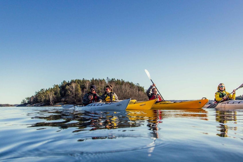 Picture 11 for Activity Stockholm: Archipelago Winter Kayaking and Fika Experience