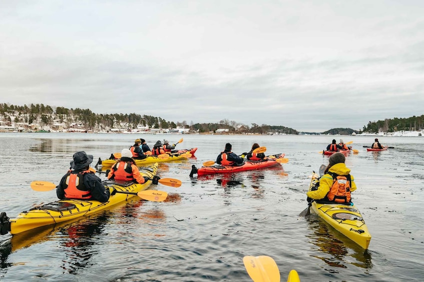 Picture 10 for Activity Stockholm: Winter Kayaking, Swedish Fika, and Hot Sauna