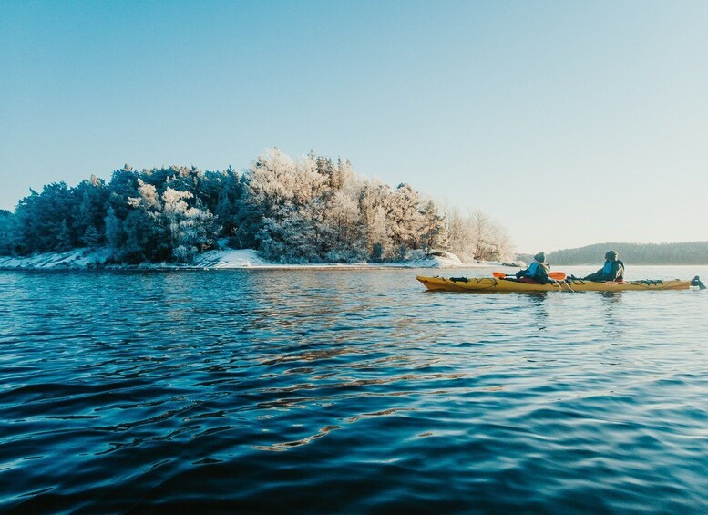 Picture 27 for Activity Stockholm: Winter Kayaking, Swedish Fika, and Hot Sauna