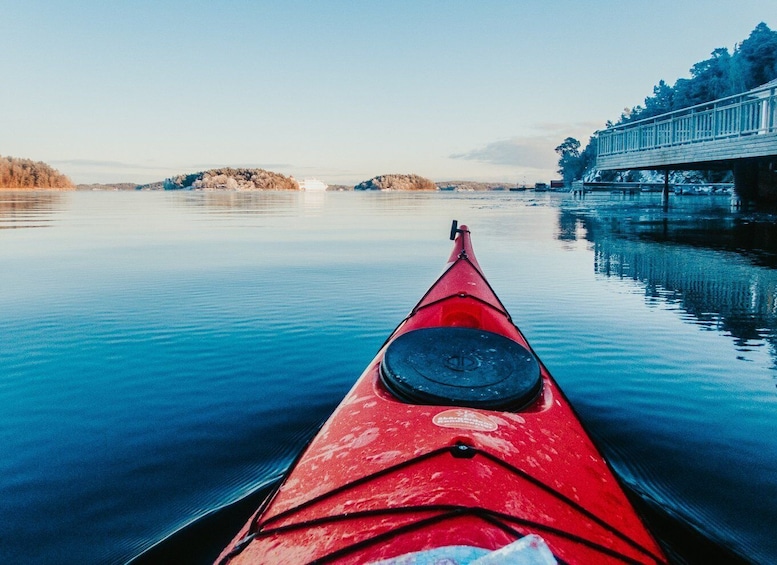Picture 9 for Activity Stockholm: Archipelago Winter Kayaking and Fika Experience