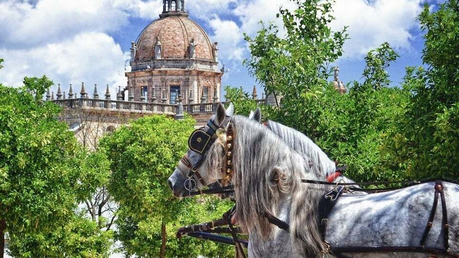 Jerez: Historic Center Guided Tour