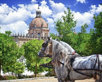 Jerez: Historic Center Guided Tour