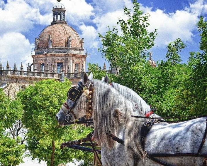 Jerez: Historic Center Guided Tour