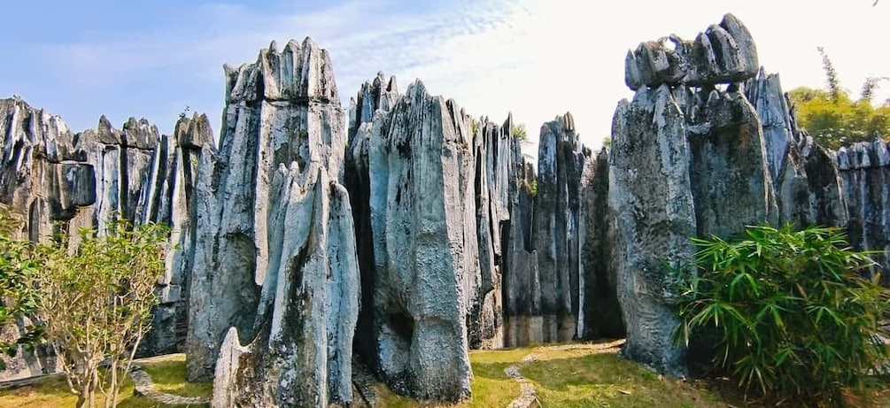 Picture 1 for Activity Kunming: Stone Forest Private Day Tour