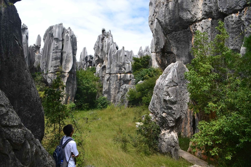 Picture 11 for Activity Kunming: Stone Forest Private Day Tour