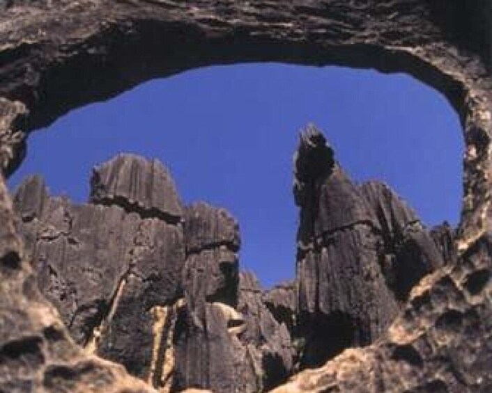 Picture 2 for Activity Kunming: Stone Forest Private Day Tour