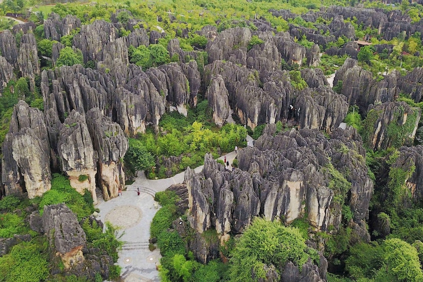 Picture 10 for Activity Kunming: Stone Forest Private Day Tour