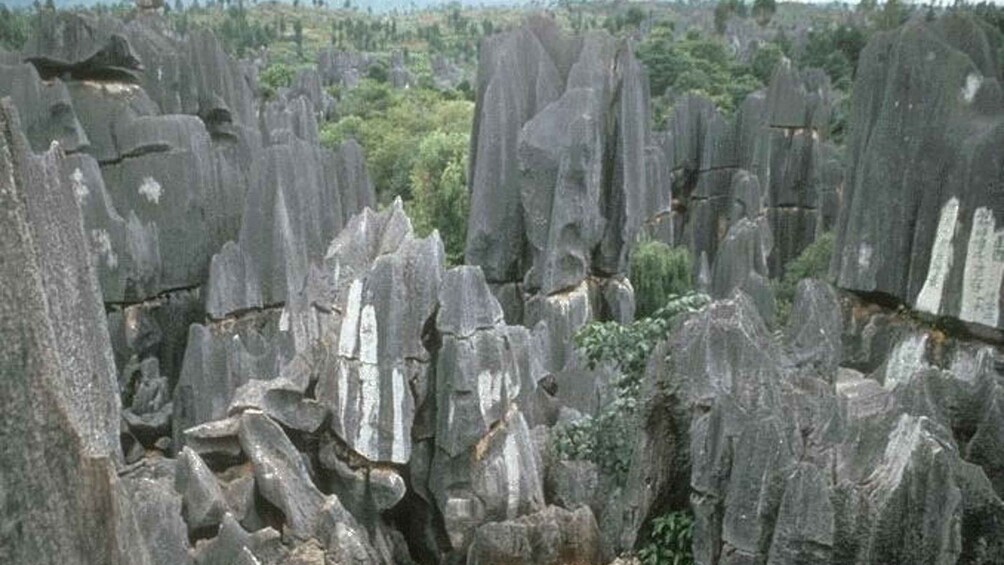 Picture 4 for Activity Kunming: Stone Forest Private Day Tour