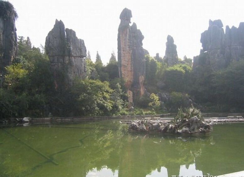 Picture 3 for Activity Kunming: Stone Forest Private Day Tour