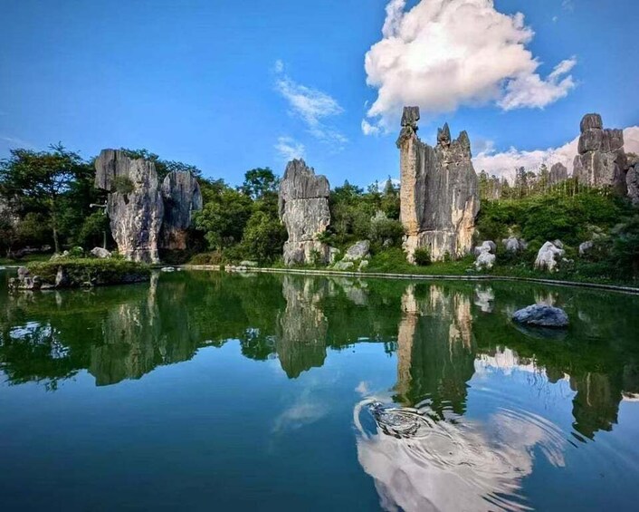 Picture 2 for Activity Kunming: Stone Forest Private Day Tour