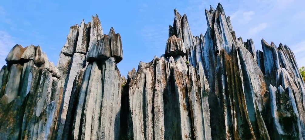 Picture 5 for Activity Kunming: Stone Forest Private Day Tour